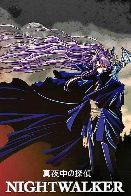 Nightwalker: The Midnight Detective